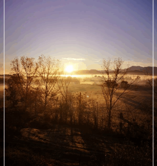 La Pause En Soi Cabanes & Bien-Être Si tu suivais le soleil